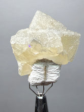 Load image into Gallery viewer, Rare Druzy Golden “Diamond” Calcite on Zeolite Matrix — Maharashtra, India | Collector Cabinet Specimen