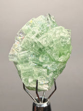 Load image into Gallery viewer, Green Radial “Disco Ball” Apophyllite | Maharashtra, India