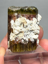Load image into Gallery viewer, Tri-Color Tourmaline with Feldspar Mineral Specimen – Pakistan