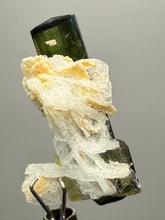 Load image into Gallery viewer, Dark Green Cap Stak Nala Tourmaline with Cleavelandite Flower – Haramosh Mountains, Pakistan | Thumbnail Specimen