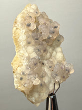 Load image into Gallery viewer, Blue-Green Chrysocolla in Botryoidal Chalcedony Cabinet Specimen | Indonesia