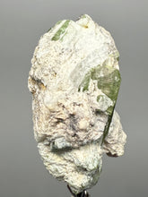 Load image into Gallery viewer, Watermelon Tourmaline on Matrix – Collector Mineral Specimen from Pakistan