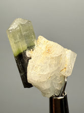 Load image into Gallery viewer, Green Cap Stak Nala Tourmaline with Cleavelandite – Haramosh Mountains, Pakistan | Thumbnail Specimen