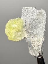 Load image into Gallery viewer, Vibrant Yellow Brucite Thumbnail Mineral Specimen | Collector Crystal from Killa Saifullah District in Balochistan Province, Pakistan