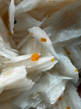 Load image into Gallery viewer, Natural Vanadinite on Matrix | Collector Mineral Specimen | Morocco