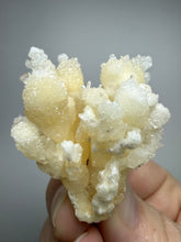 Load image into Gallery viewer, High-Grade Coral Aragonite Crystal Specimen – Wenshan Mine, Yunnan, China
