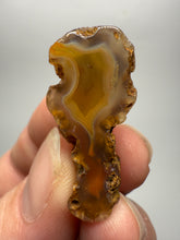 Load image into Gallery viewer, Lot of 4 Small Malawi Agate Halves – Polished Rare Colorful Collector Specimens