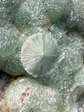 Load image into Gallery viewer, High-Grade Green Wavellite Collectors Specimen - Radiating Botryoidal Crystal Formation - Arkansas, USA