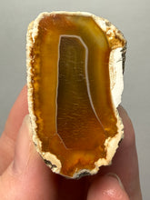 Load image into Gallery viewer, Premium Sumatra Agate (Banded Chalcedony) Display Specimen | Indonesia
