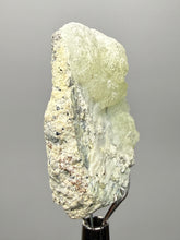 Load image into Gallery viewer, Vibrant Yellow Brucite Thumbnail Mineral Specimen | Collector Crystal from Killa Saifullah District in Balochistan Province, Pakistan
