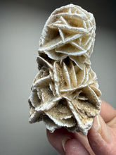 Load image into Gallery viewer, Desert Rose Selenite (Gypsum) — Mineral Display Specimen | Mexico
