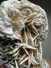 Load image into Gallery viewer, Desert Rose Selenite (Gypsum) — Mineral Display Specimen | Mexico