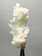 Load image into Gallery viewer, High-Grade Flower Calcite Crystal Specimen | Wenshan Mine, Yunnan, China | Collector Mineral Display