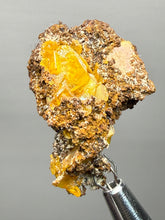 Load image into Gallery viewer, High-Grade Orange Wulfenite Collector Display Specimen | La Morita Mine, Chihuahua, Mexico
