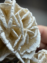Load image into Gallery viewer, Desert Rose Selenite (Gypsum) — Mineral Display Specimen | Mexico