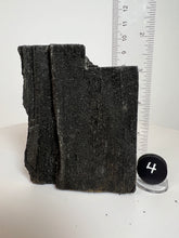Load image into Gallery viewer, Black Druzy Petrified Wood from Indonesia