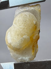 Load image into Gallery viewer, Rare Botryoidal Yellow Fluorite on Quartz Matrix Collector Mineral Specimen – Maharashtra, India