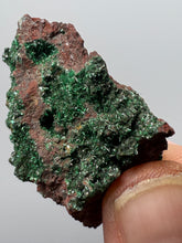 Load image into Gallery viewer, Brochantite Collector Mineral Specimen – Vivid Green Copper Crystals from Morocco