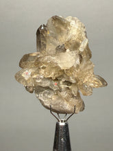 Load image into Gallery viewer, Smoky Quartz Crystal Specimen | Natural Collector Mineral – Brazil