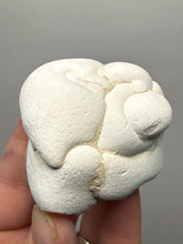 Load image into Gallery viewer, Chichaoua Menalite “Fairy Stone” Concretion | Natural Collector Display Specimen | Morocco