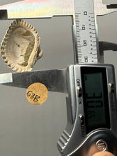 Load image into Gallery viewer, Bivalve (Pelecypoda) Fossil Sea Shell with Chalcopyrite | Mineralized Fossil Specimen | Indonesia