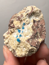 Load image into Gallery viewer, Rare Electric Blue Pentagonite on Druzy Matrix – Collector Mineral Specimen | India