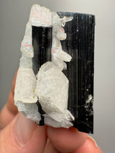 Load image into Gallery viewer, Dark Green Cap Stak Nala Tourmaline on Cleavelandite Matrix – Haramosh Mountains, Pakistan