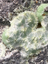 Load image into Gallery viewer, High-Grade Green Wavellite Collectors Specimen - Radiating Botryoidal Crystal Formation - Arkansas, USA