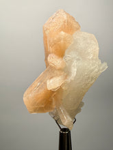 Load image into Gallery viewer, High-Grade Apophyllite on Pink Stilbite Zeolite | Indian Collector Mineral Specimen