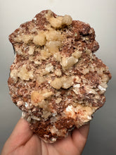 Load image into Gallery viewer, XL Shiny Peach Stilbite on Druzy Red Heulandite – High-Grade Collector Mineral Specimen from India