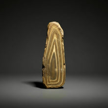 Load image into Gallery viewer, Stromatolite Fossil Slice | Ancient Microbial Reef Structure | Morocco