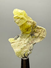 Load image into Gallery viewer, Vibrant Yellow Brucite Thumbnail Mineral Specimen | Collector Crystal from Killa Saifullah District in Balochistan Province, Pakistan