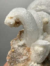Load image into Gallery viewer, Moroccan Ram’s Horn Selenite (Gypsum) Crystal Display Specimen