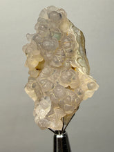 Load image into Gallery viewer, Blue-Green Chrysocolla in Botryoidal Chalcedony Cabinet Specimen | Indonesia