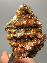 Load image into Gallery viewer, Natural Vanadinite on Matrix | Collector Mineral Specimen | Morocco