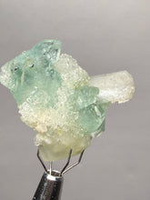 Load image into Gallery viewer, Luminous Mint Apophyllite with Glittering Druzy Sugar Quartz – India