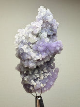 Load image into Gallery viewer, Indonesian Grape Agate (Botryoidal Purple Chalcedony) Display Specimen | Mamuju, West Sulawesi, Indonesia