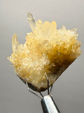 Load image into Gallery viewer, High-Grade Flower Calcite Crystal Specimen | Wenshan Mine, Yunnan, China | Collector Mineral Display