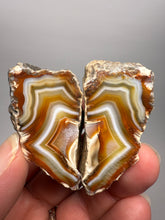 Load image into Gallery viewer, High-Grade Indonesian Sumatra Agate Pair – Vibrant Banded Chalcedony with Rich Color Zoning | Ethical Lapidary & Collector Display Specimens