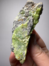 Load image into Gallery viewer, High-Grade Green Wavellite Collectors Specimen - Radiating Botryoidal Crystal Formation - Arkansas, USA