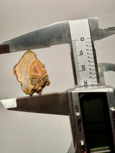 Load image into Gallery viewer, Polished Malawi Agate Half – High-Grade African Banded Agate Display Specimen