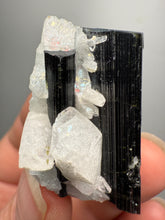 Load image into Gallery viewer, Dark Green Cap Stak Nala Tourmaline on Cleavelandite Matrix – Haramosh Mountains, Pakistan