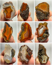 Load image into Gallery viewer, Lot of 9 Small Malawi Agate Halves – Polished Rare Colorful Collector Specimens