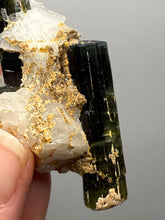 Load image into Gallery viewer, Blue Cap Dark Green Stak Nala Tourmaline on Cleavelandite Matrix – Haramosh Mountains, Pakistan
