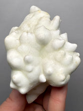 Load image into Gallery viewer, Superb White Flos Ferri Aragonite “Flower of Iron” Mineral Specimen | Lom Vitošov, Czech Republic