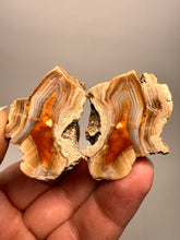 Load image into Gallery viewer, High-Grade Indonesian Sumatra Agate Pair – Vibrant Banded Chalcedony with Rich Color Zoning | Ethical Lapidary & Collector Display Specimens