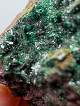 Load image into Gallery viewer, Brochantite Collector Mineral Specimen – Vivid Green Copper Crystals from Morocco