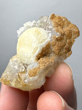 Load image into Gallery viewer, Rare Botryoidal Yellow Fluorite on Quartz Matrix Collector Mineral Specimen – Maharashtra, India