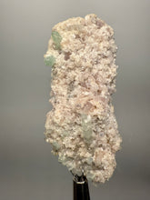 Load image into Gallery viewer, Light Purple Lepidolite with Light Green Tourmaline on Matrix – Pakistan Mineral Specimen | Collector Grade