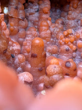 Load image into Gallery viewer, “Goblin Chalcedony” Pink & Orange Druzy Botryoidal Stalactites — Tichka Massif, High Atlas, Morocco